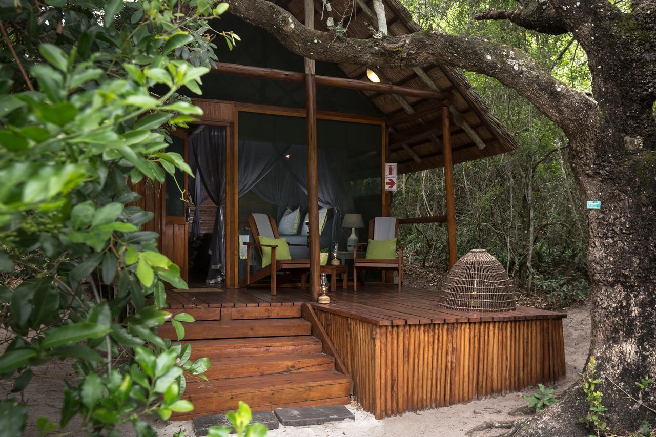 戈西森林山林小屋 Manguzi 外观 照片