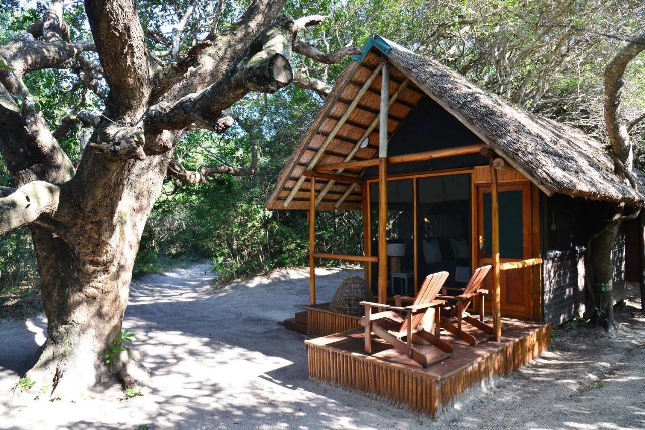 戈西森林山林小屋 Manguzi 外观 照片
